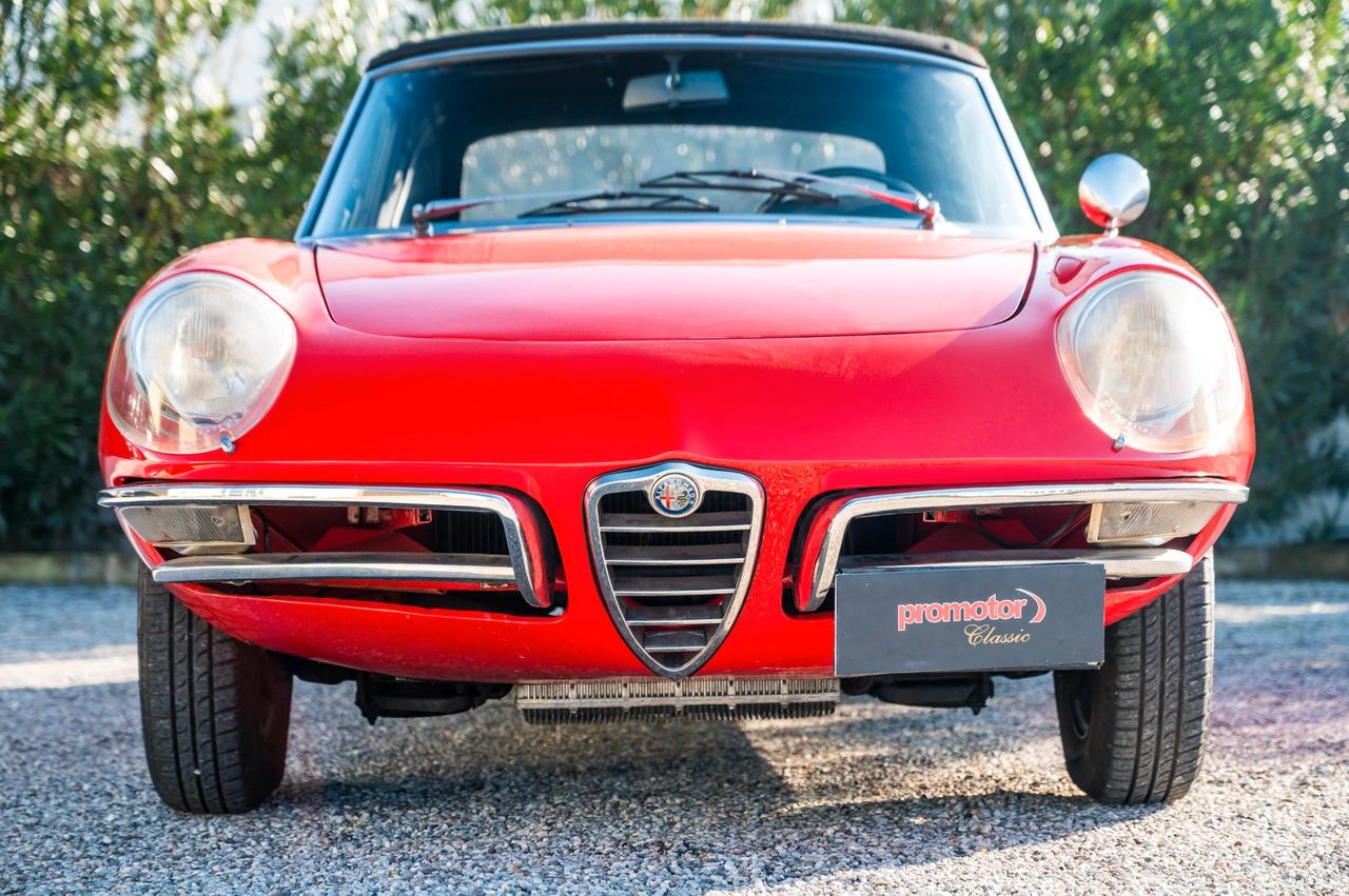 Alfa Romeo Spider 1600 Duetto ”Osso di Seppia”