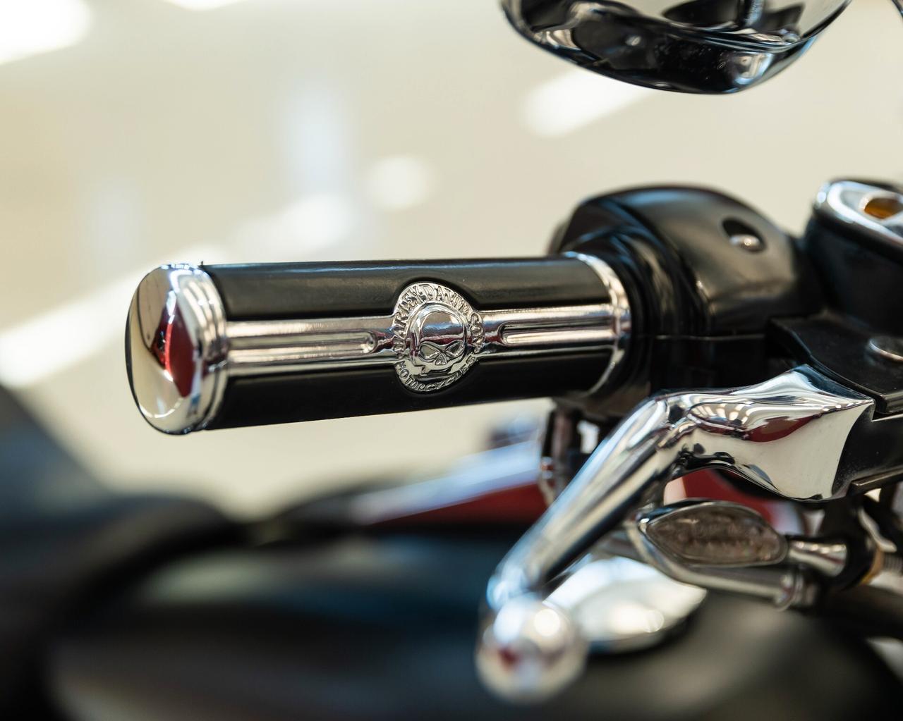 Harley-davidson Dyna "F. Bob"