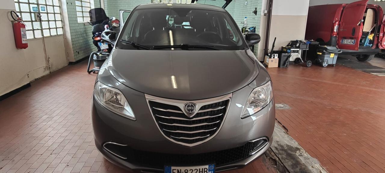 Lancia Ypsilon 1.2 69 CV 5 porte S&S Platinum