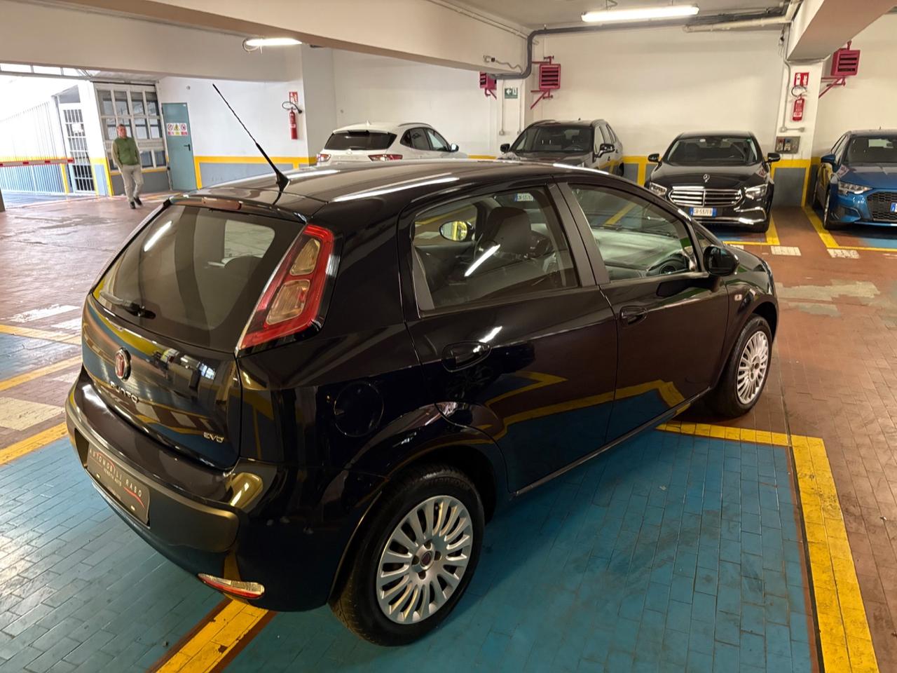 Fiat Punto Evo Punto Evo 1.2 5 porte Dynamic NEOPATENTATI...!!!!