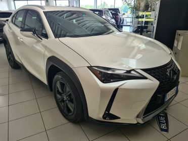Lexus UX UX 250 Hybrid Urban