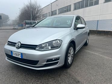 VW Golf 7 1.4 TGI 5p. BlueMotion METANO
