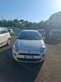 Fiat Punto 1.2 8V 5 porte Street NEOPATENTATI
