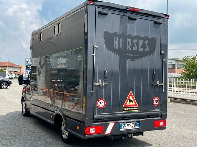 Mercedes-benz Sprinter F43/35 319 CDI RWD TA TRASPORTO CAVALLI 3 POSTI + CUCCIETTA