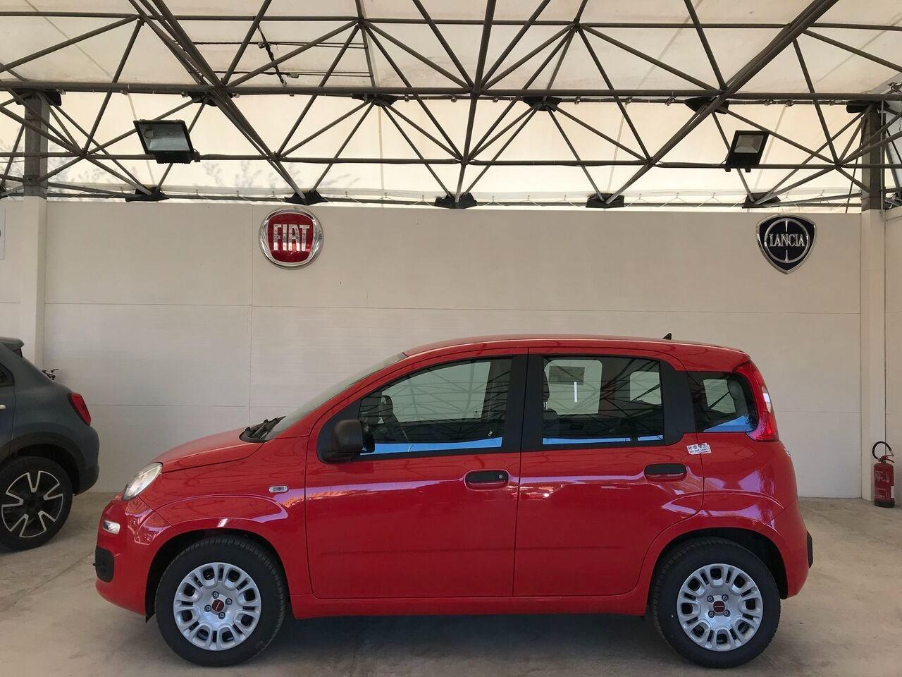 FIAT Panda III 2021 - Panda 1.0 firefly hybrid s&s 70cv