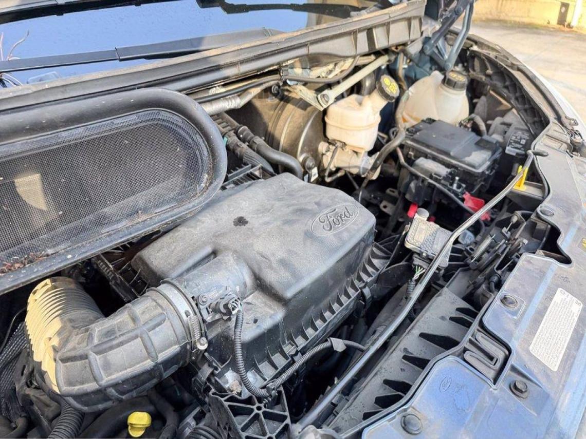 FORD Transit 290 2 0 tdci mhev 130cv trend l2h2 e6 2