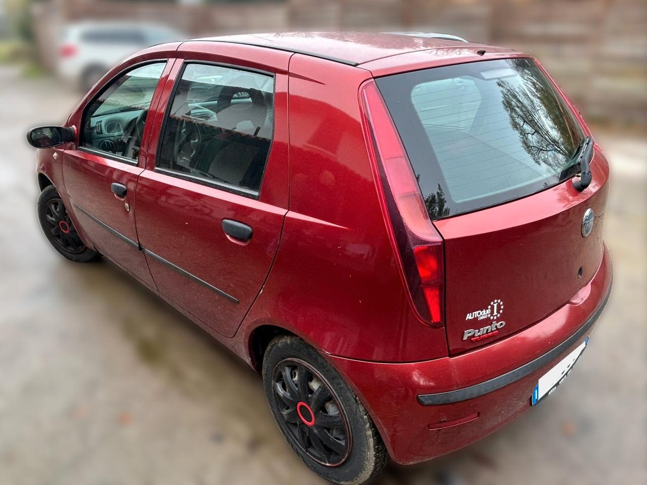 Fiat Punto 5p 1.2 natural power - ANCHE PER NEOPATENTATI