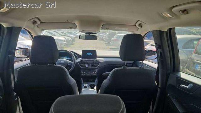 FORD Kuga Kuga 1.5 ecoblue Titanium Business 2wd 120cv auto