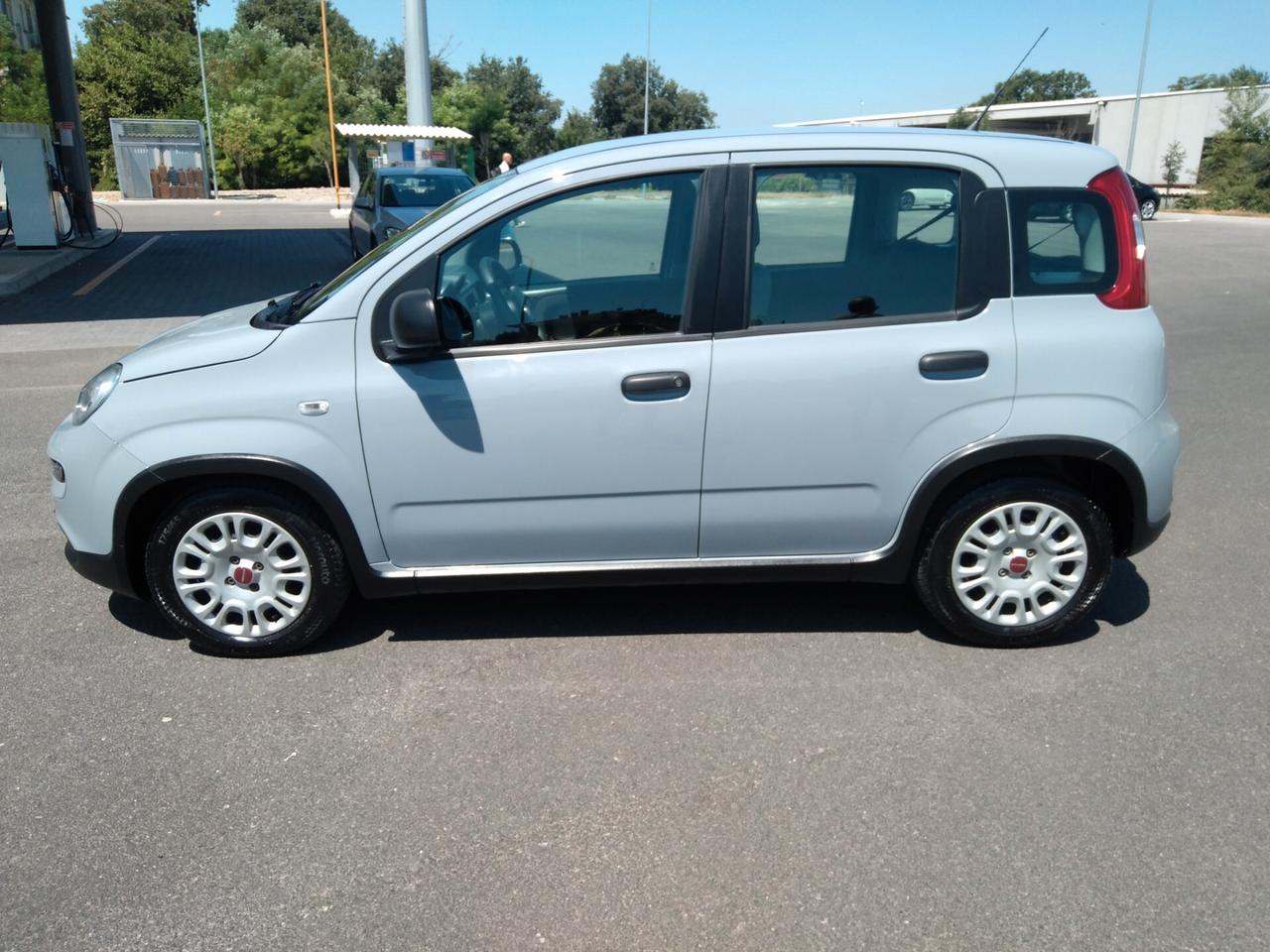 Fiat Panda 1.0 70cv FireFly S&S Hybrid x neopatentati