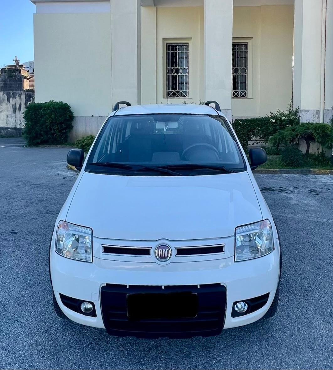 Fiat Panda 1.3 MJT 16V DPF 4x4 Climbing