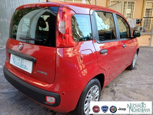 FIAT Panda 1.0 FireFly S&S Hybrid Icon 5°Posto Auto Nuova