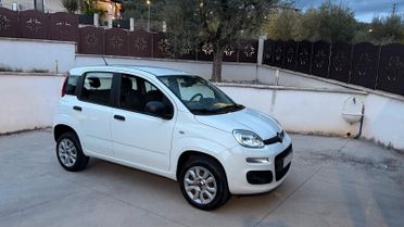 Fiat Panda NATURAL POWER METANO BENZINA CLIMA UNIPRO'
