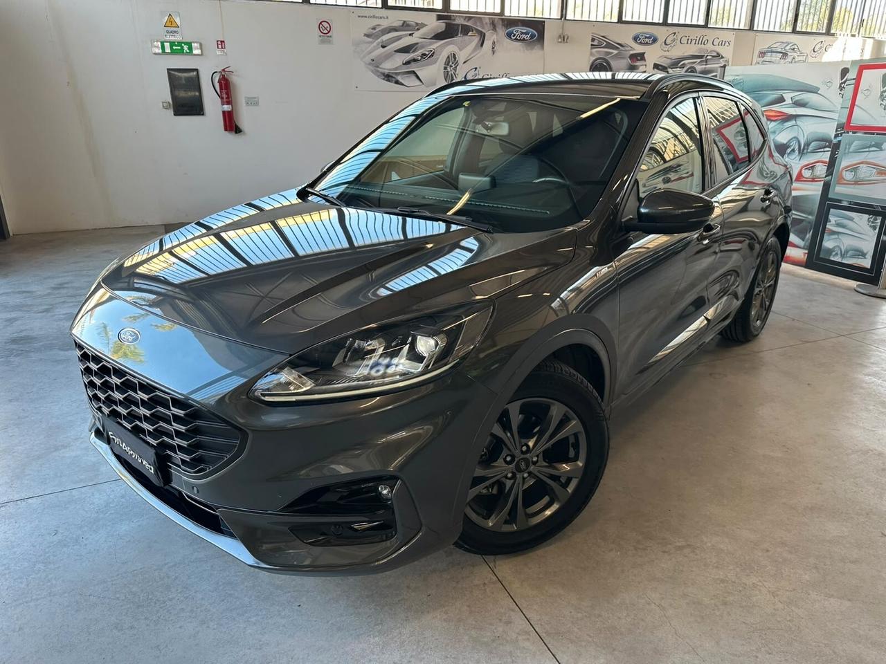 Ford Kuga 1.5 EcoBlue 120CV 2WD ST-Line