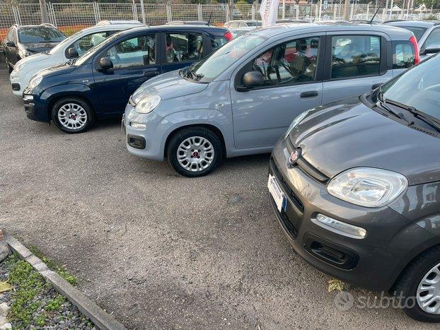 Fiat Panda Fiat Panda 2021/2022 vari colori