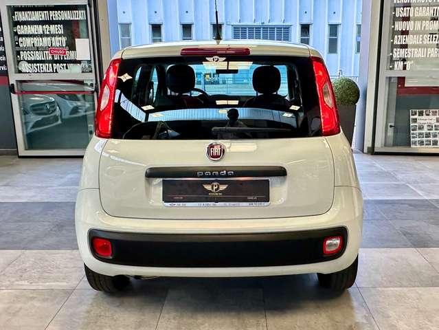 Fiat Panda 1.2 Benzina 69CV S&S Easy +Neopatentato