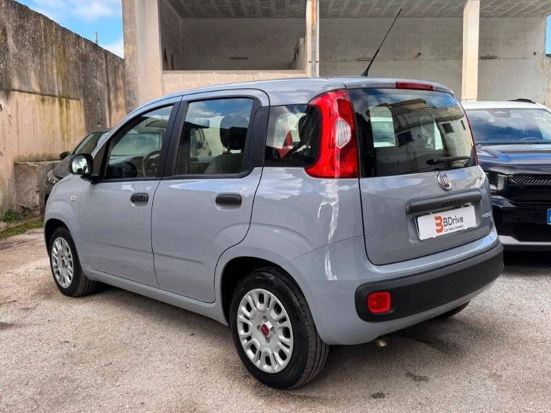 FIAT Panda 3ª serie Panda 1.0 FireFly S&S Hybrid