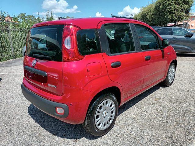 FIAT Panda 1000 HYBRID 70 CV PACK CITY 5 POSTI USB ITALIA
