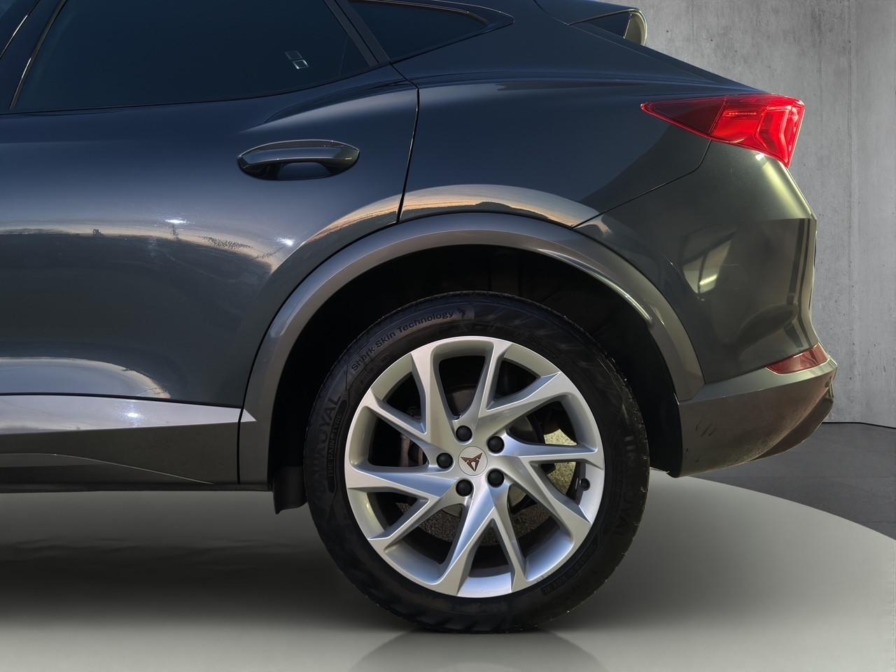 Cupra Formentor 2.0 TDI 4Drive DSG