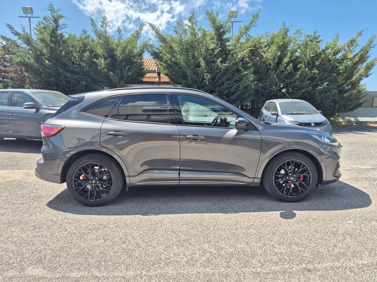 Ford Kuga 2.0 EcoBlue 120 CV aut. 2WD ST-Line X