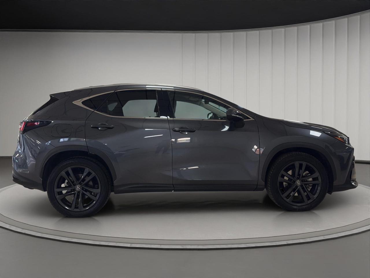 Lexus NX 450h+ 2.5 phev Premium+ 4wd 309cv e-cvt