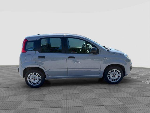 FIAT Panda Panda 1.2 69cv E6 POP