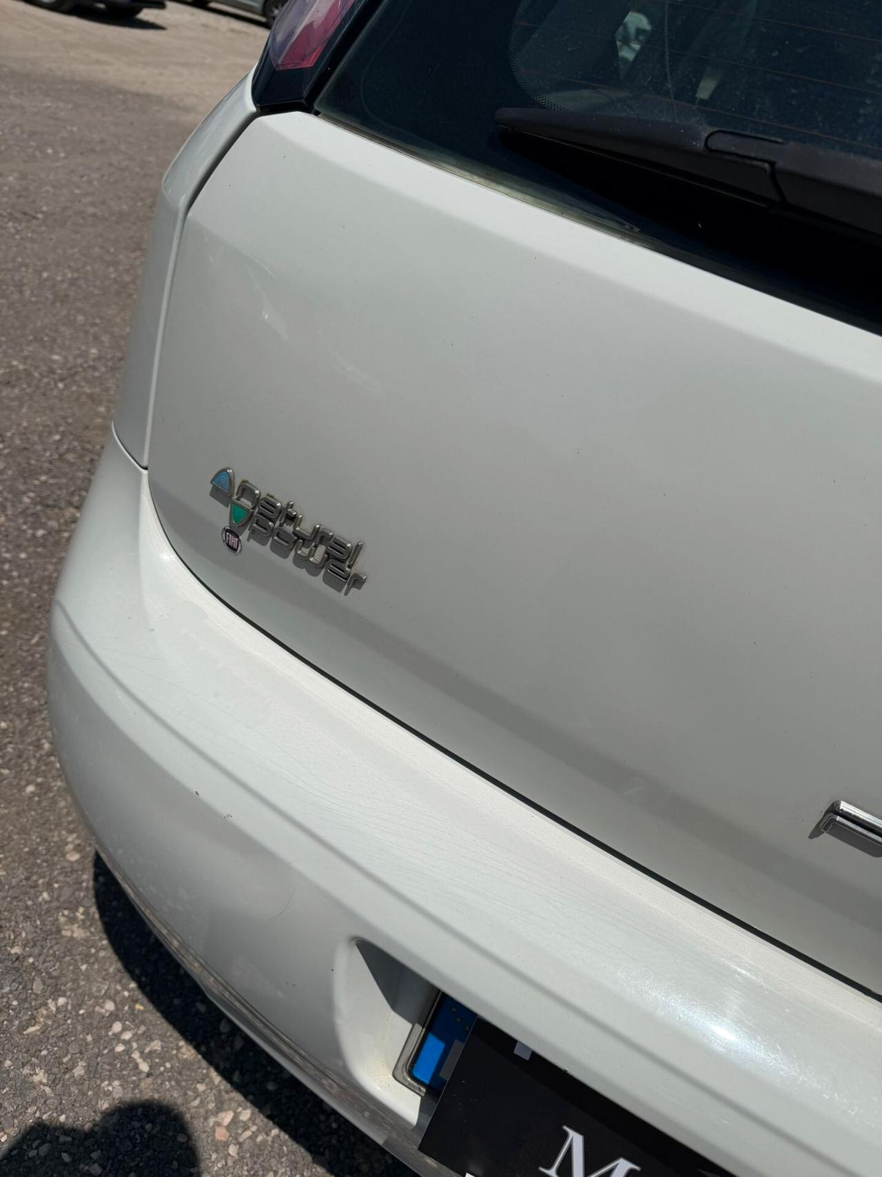 Fiat Punto Evo 1.4 5 porte S&S Blue&Me
