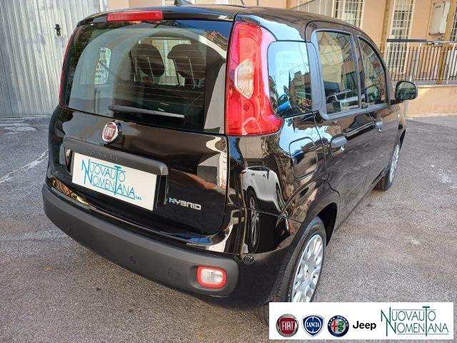 FIAT Panda Pandina 1.0 FireFly S&S Hybrid Icon 5°P Km0