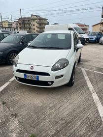 Fiat Punto Evo Punto Evo 1.2 5 porte S&S Active