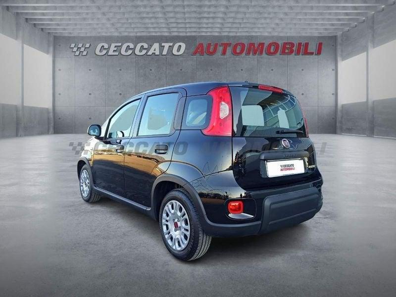 FIAT Panda Panda 1.0 firefly hybrid s&s 70cv