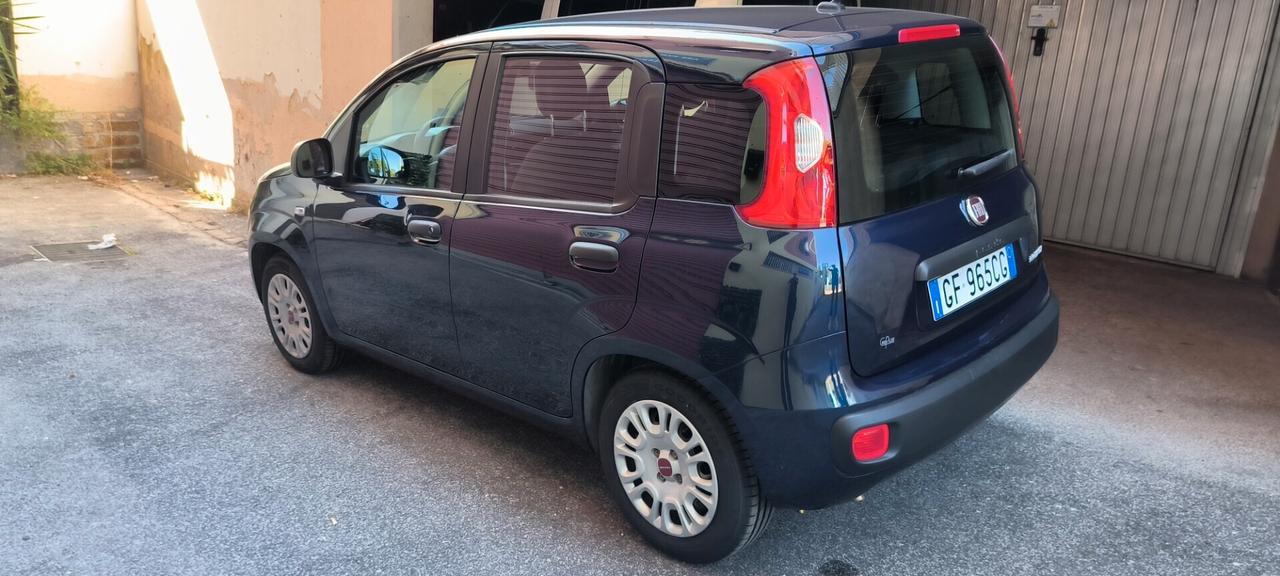Fiat Panda 1.0 FireFly S&S Hybrid passaggio in omaggio per luglio