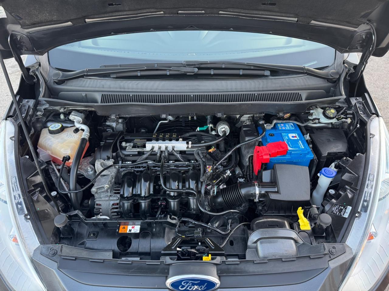Ford B-Max 1.4 90 CV GPL Titanium