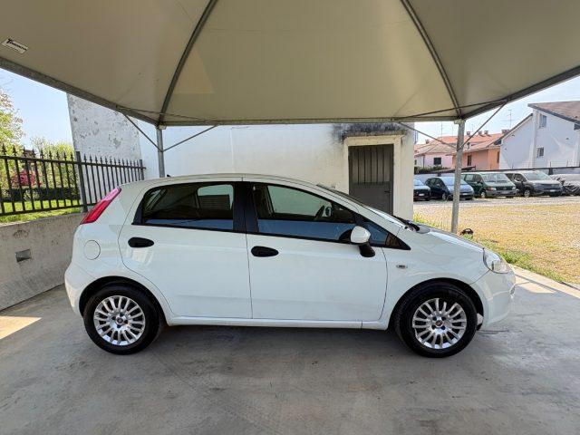 FIAT Punto 1.2 8V 5 porte EURO 6 OK NEOPATENTATI