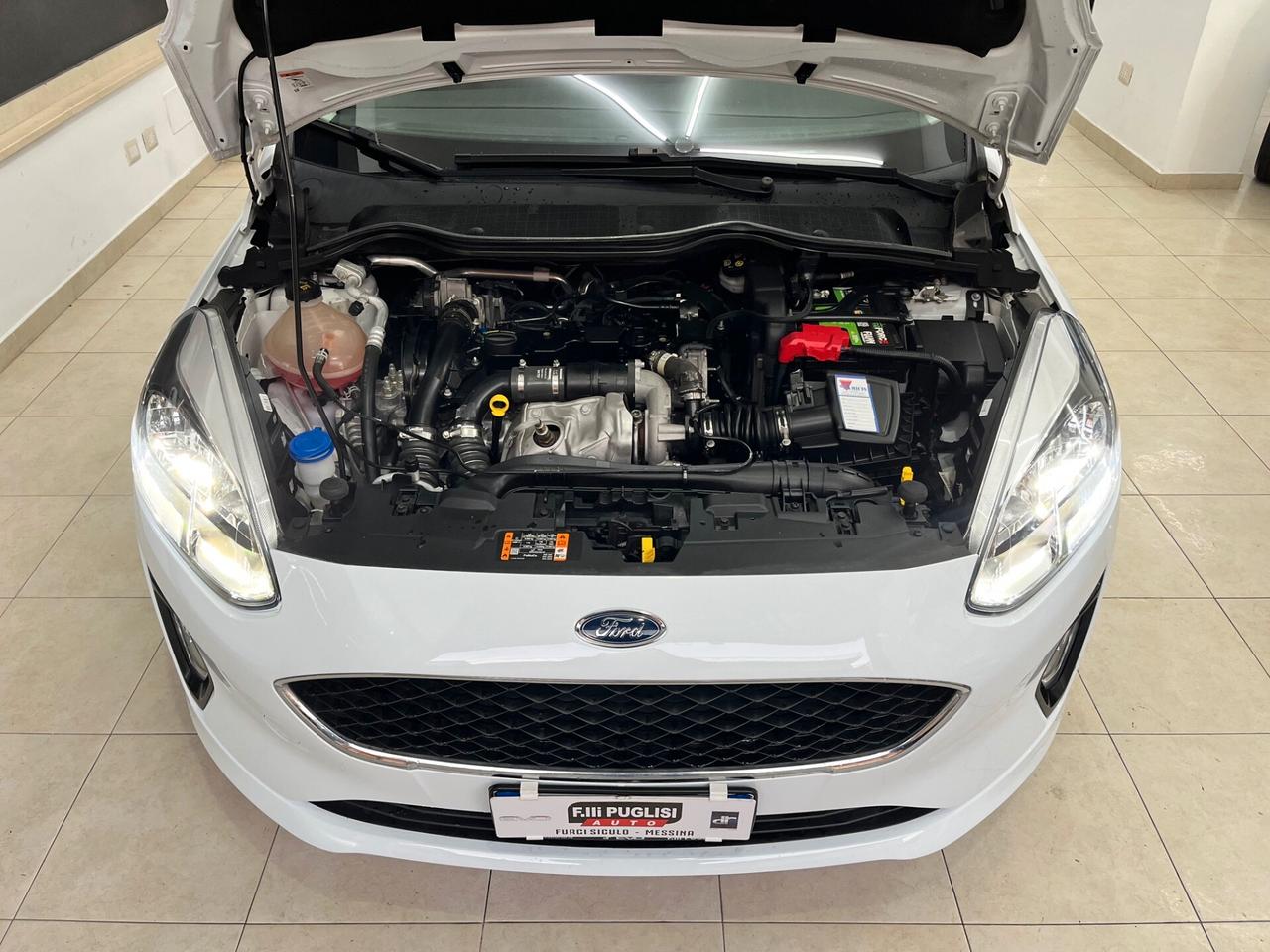 Ford Fiesta 1.5 EcoBlue 5 porte Business - 2020