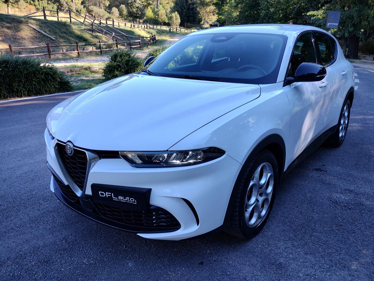 Alfa Romeo Tonale 1.6 diesel 130 CV TCT6 Super