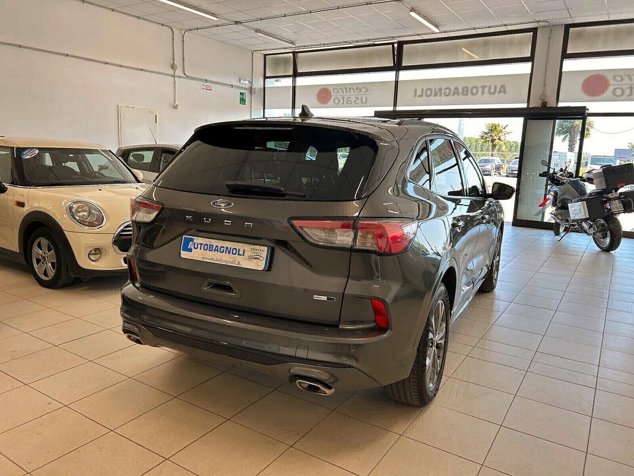 Ford Kuga ST-LINE 2.0 EcoBlue Hybrid 150 CV