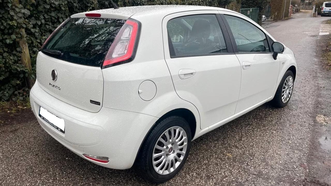 Fiat Punto 1.4 S&S 8V 5 porte Pop CLIMA