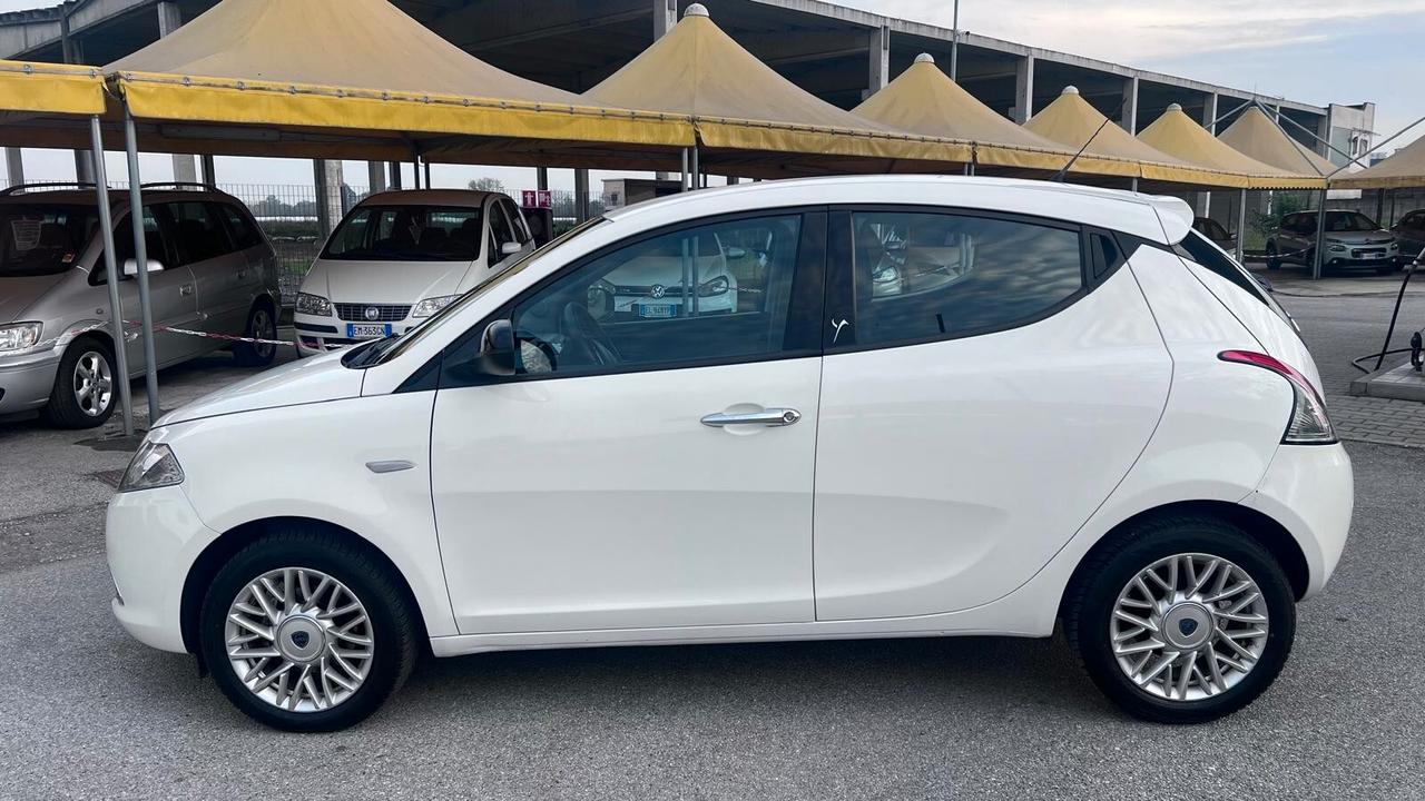 Lancia Ypsilon 1.2 69 CV 5 porte S&S Elefantino