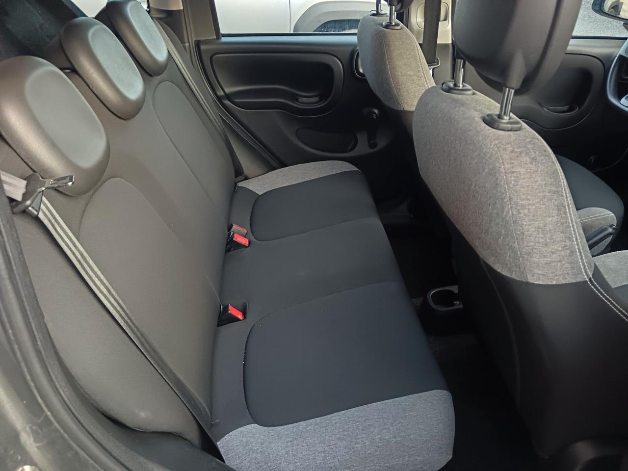 Fiat Panda 1.0 70CV HYBRID CITY LIFE NEOPATENTATI