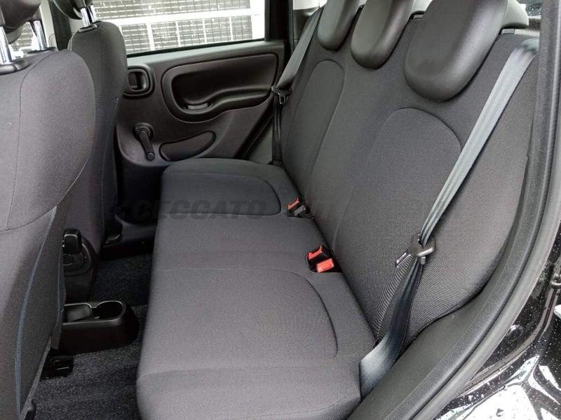 FIAT Panda Panda 1.0 firefly hybrid s&s 70cv