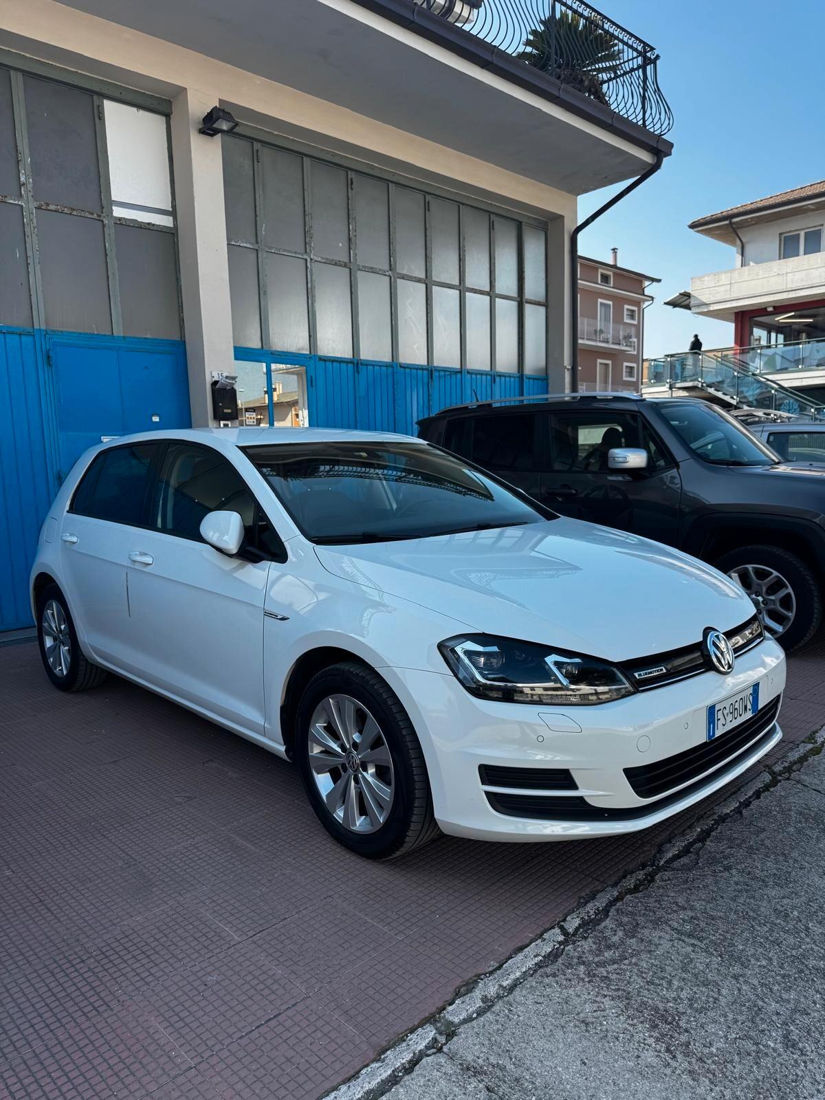 Volkswagen Golf Business 1.4 TGI 5p. Highline BlueMotion