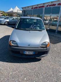Fiat Seicento 900i cat Young