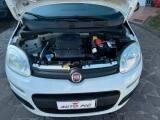 Fiat Panda 1.2 Lounge BONUS GPL SOLI 38.000KM