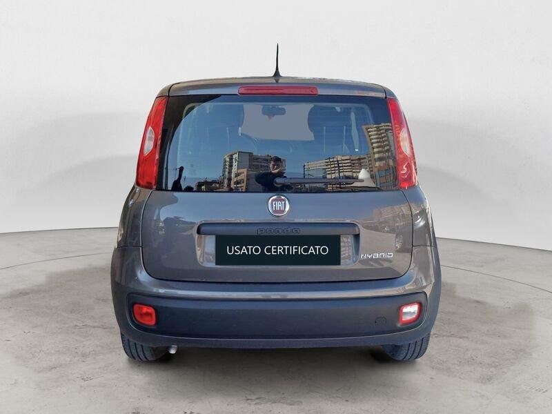 FIAT Panda 1.0 FireFly 70 CV S&S Hybrid