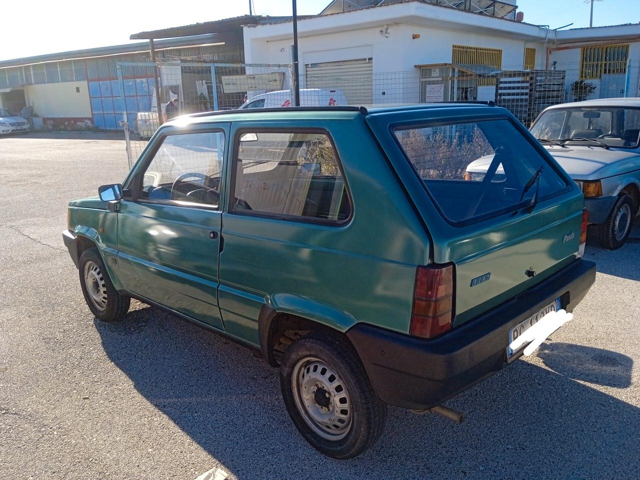 Fiat Panda 900 i.e. cat Young