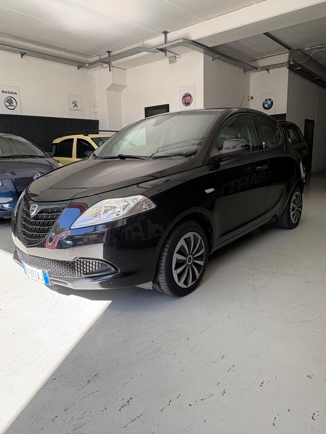 Lancia Ypsilon 1.2 69 CV 5 porte Elefantino