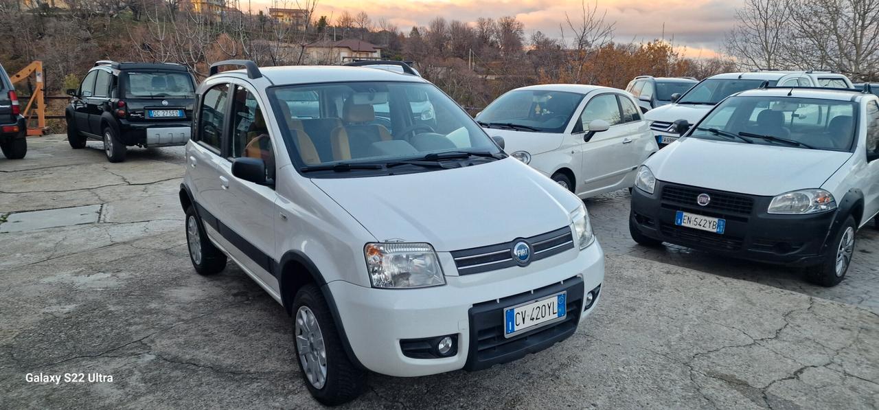 Fiat Panda 1.2 4x4 Climbing