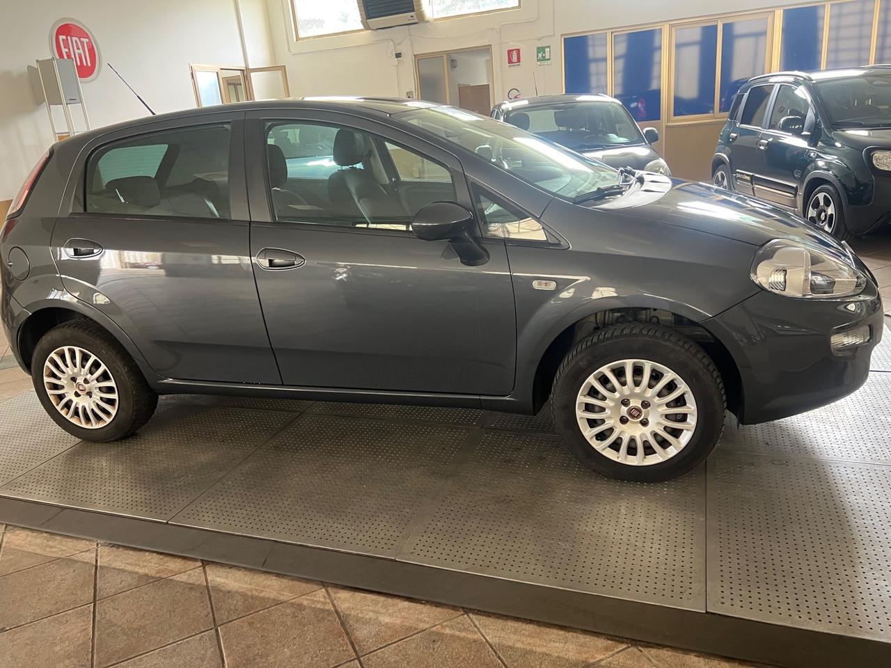 Fiat Punto 1.4 8V 5 porte Natural Power Street