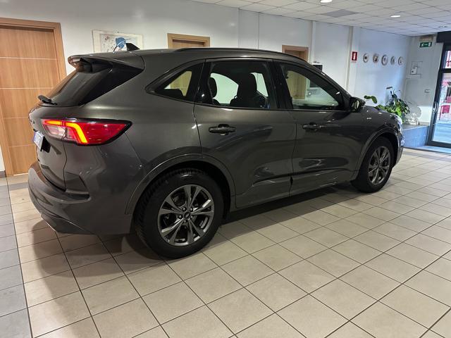 FORD Kuga 1.5 EcoBlue 120 CV 2WD ST-Line
