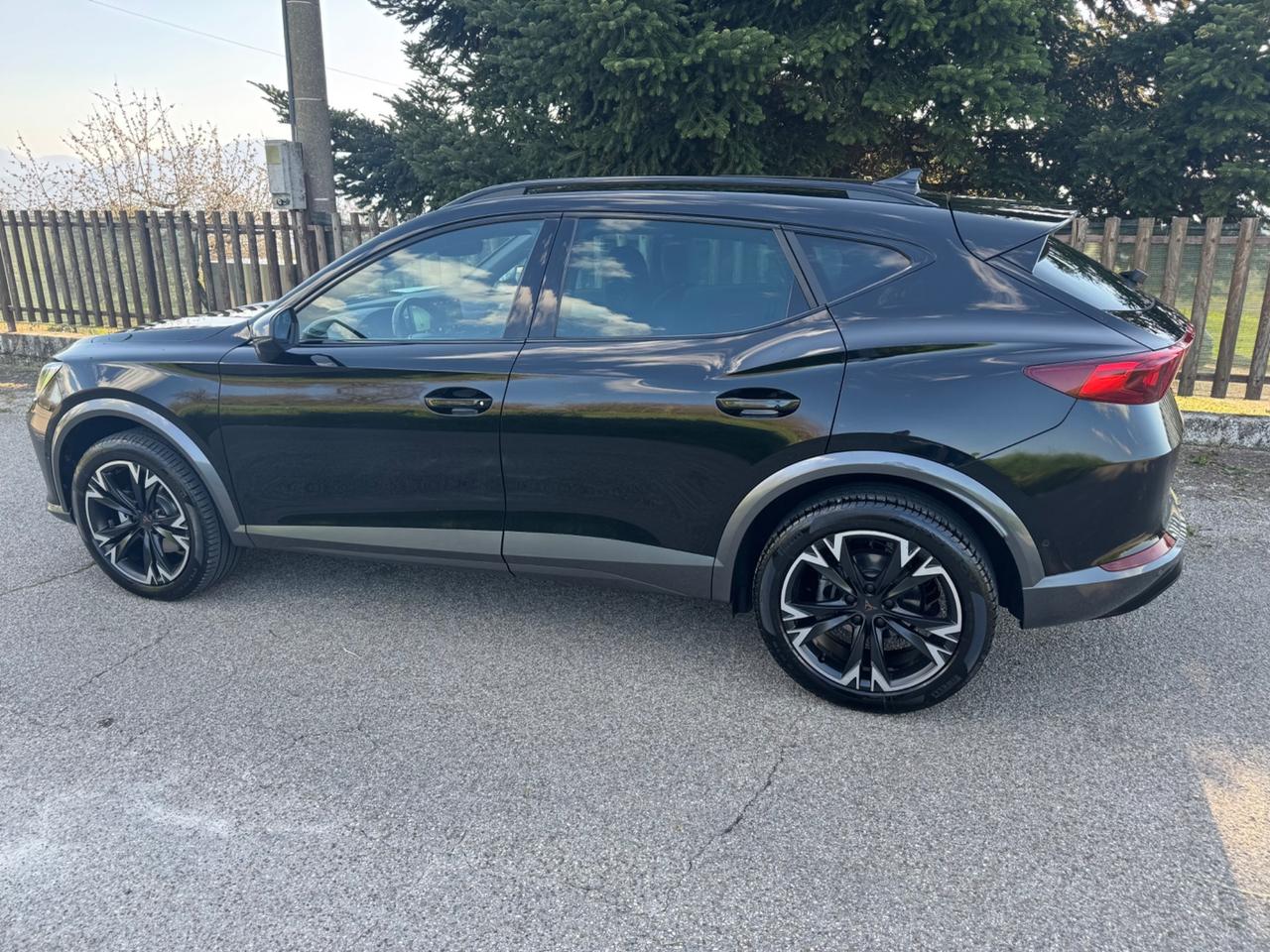 Cupra Formentor 2.0 TDI 4Drive DSG