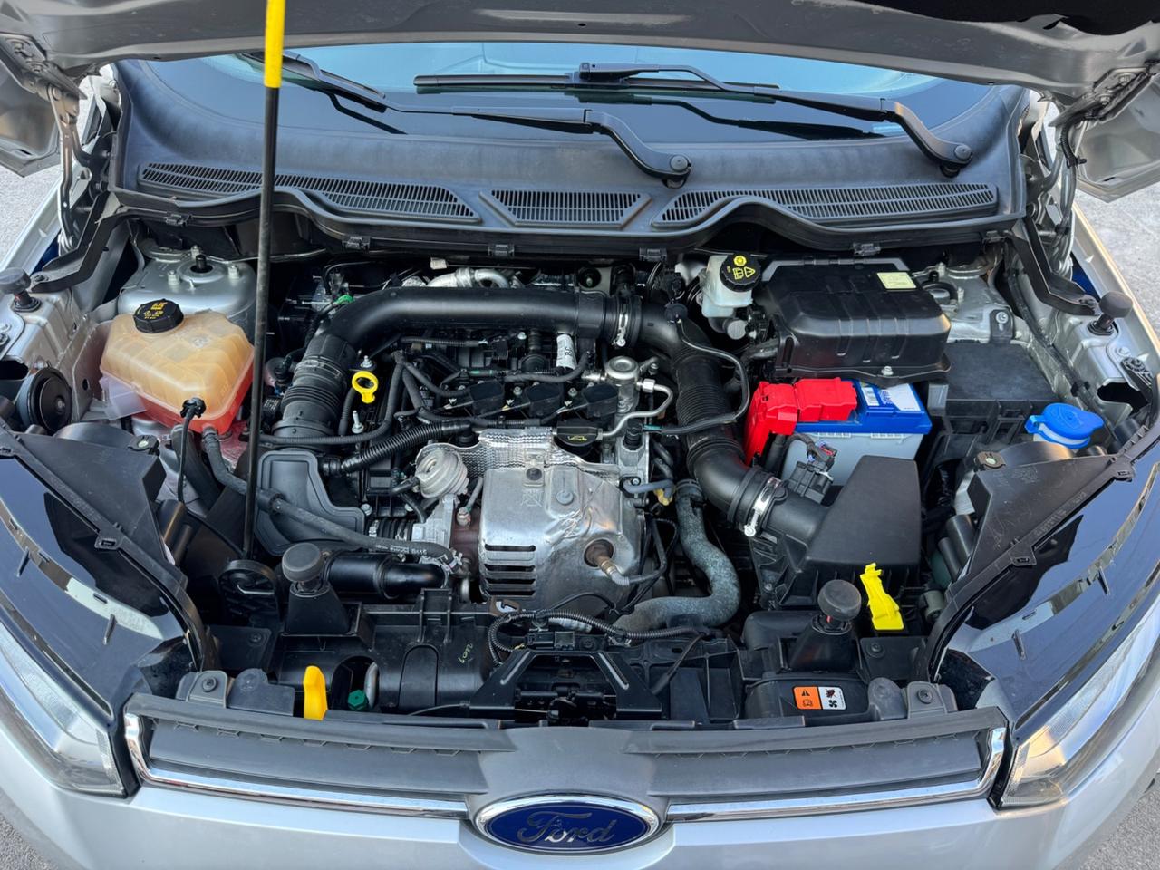 Ford EcoSport 1.0 BENZINA 125CV Titanium Plus 2016